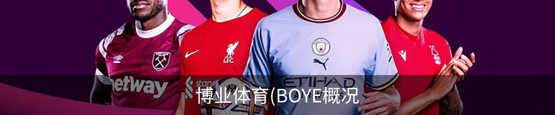 博业体育(BOYE概况