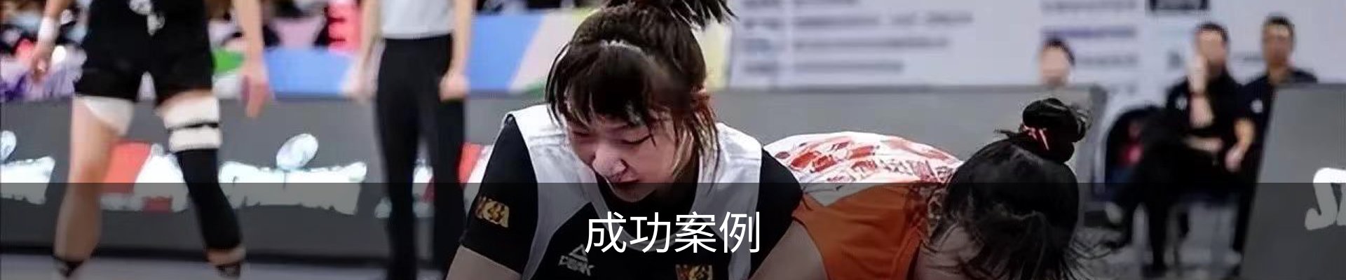 成功案例